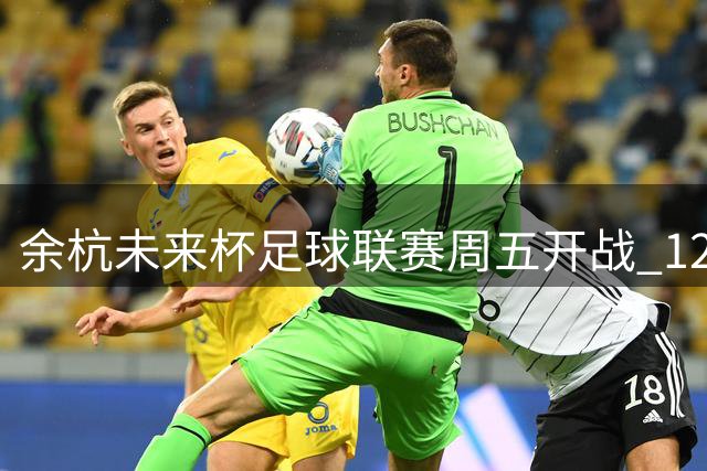 余杭"未来杯"足球联赛周五开战 12支劲旅争夺绿茵荣耀